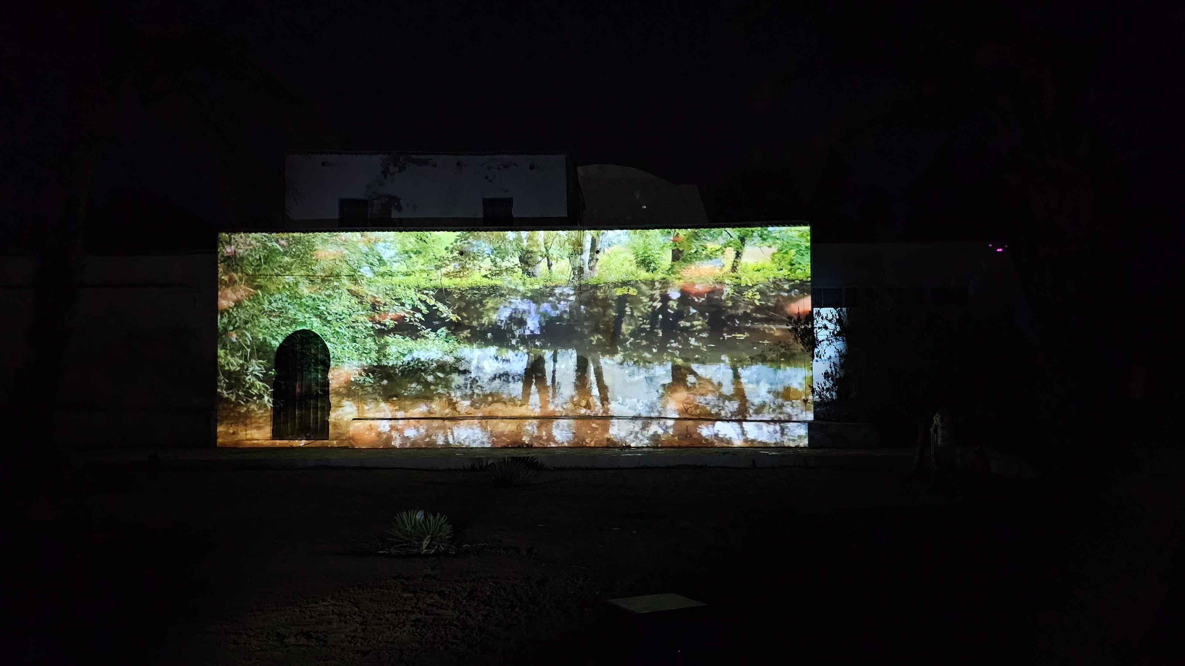 Anja Kreysing. SEE DJERBA Houmt Souk 2025. Photo Bettina Pelz