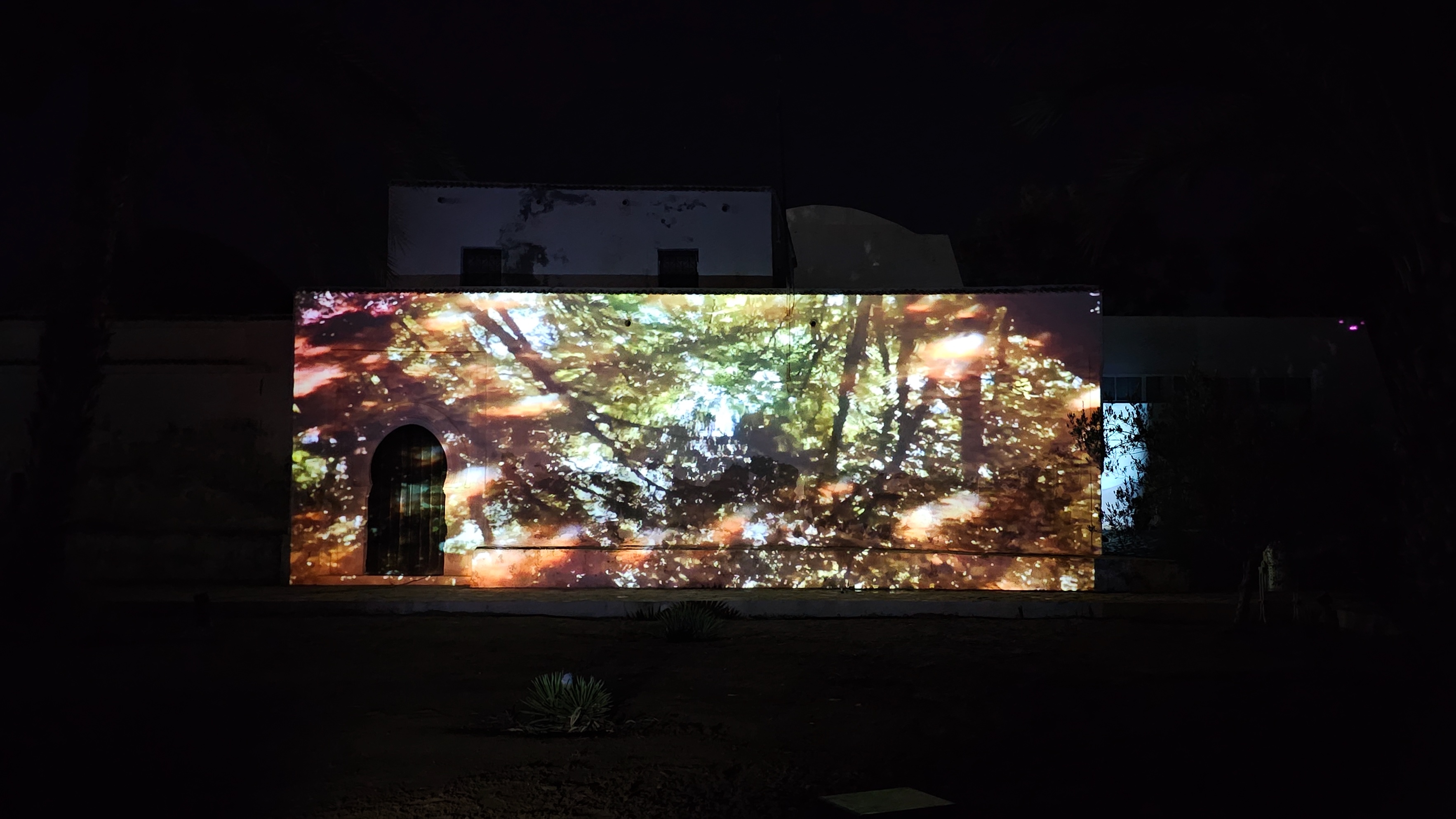 Anja Kreysing. SEE DJERBA Houmt Souk 2025. Photo Bettina Pelz